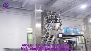 2276 J69 Rotary Bag-Feeding Pet Food Filling and Sealing Machine