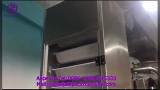 2284 J122 Machine d'emballage de boulettes congelées à enroulement vertical pour fabrication de sacs et scellage arrière