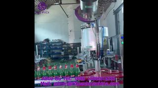 Machine de capsulage automatique à 6 têtes Crown Cap 2220 J118