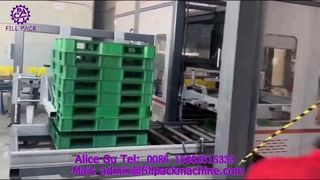 Chaîne de production de palettisation de portique d'emballage de carton 2307 P42