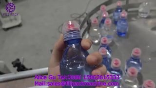 Bouteille en plastique à bouchon à vis linéaire de Type fendu 2251 J18, remplissage à Piston auto-amorçant à 6 stations, 4 roues Ca