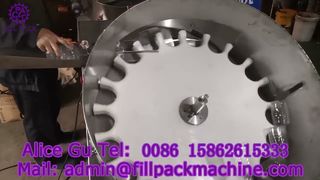 1739 L13Malaisie Machine de refendage de bouteilles en plastique inclinée à 32 stations