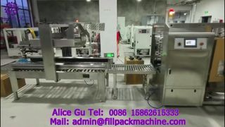Machine à sceller les cartons pliants tout en acier inoxydable 2135 P34