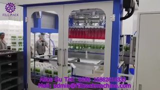 2235 P15 Dual-Head Gripper Automatic Case Packing Machine