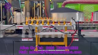 Machine de soufflage de bouteilles automatique à 8 cavités 2336 K5