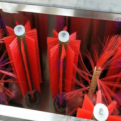 Double machine semi automatique de nettoyage de bouteilles en verre de têtes pour la ligne remplissante de boisson