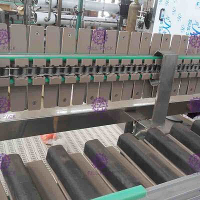 Stérilisateur inverse de bouteille de l'acier inoxydable 304 lissant le convoyeur de rouleau pour la ligne de remplissage à chaud