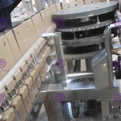 Machine en plastique de stérilisateur d'inverse de bouteille de jus de chaîne de fabrication de boisson
