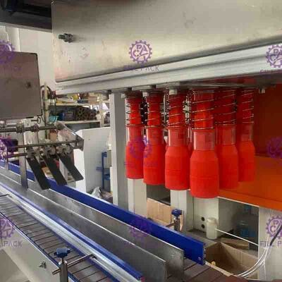 Machine de remplissage de bouteilles électrique 1Phase à faible bruit pour le cachetage de boîte de carton