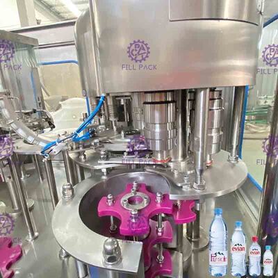 Ligne pure potable automatique usine de machine de remplissage de l'eau à échelle réduite pour les bouteilles en plastique d'ANIMAL FAMILIER