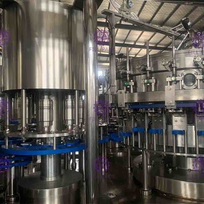 15000BPH 3 dans 1 machine de remplissage potable pure de l'eau de bouteille d'ANIMAL FAMILIER de Monoblock produisant l'acier inoxydable 304 d'équipement